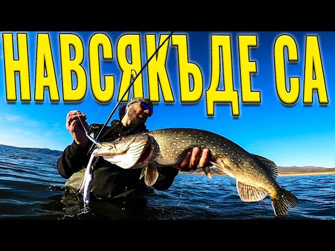Видео: НАВСЯКЪДЕ СА !! Риболов на ЩУКА.