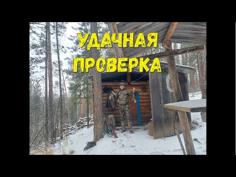 Видео: УДАЧНЫЙ ДЕНЬ//ПРОВЕРКА КАПКАНОВ