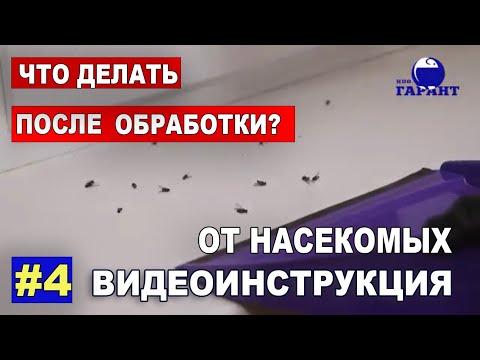 Видео: Что делать после обработки помещения от насекомых? ВИДЕОИНСТРУКЦИЯ