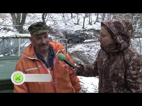 Видео: Финален излет за диво прасе в Конаре