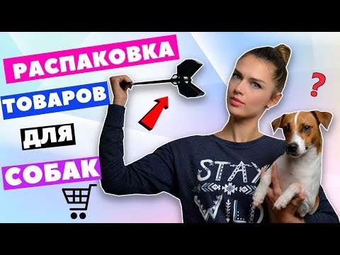 Видео: РАСПАКОВКА И ТЕСТИРОВАНИЕ ТОВАРОВ ДЛЯ СОБАК | DOG UNBOXING
