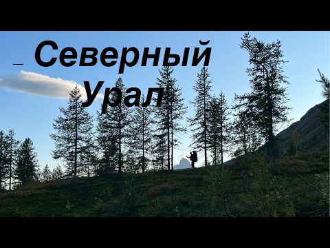 Видео: 2 сер Похода 275 км по северу Урала / реки Сыня Войвож Вангыр Косью и гора Сабля / авг-сент 2023