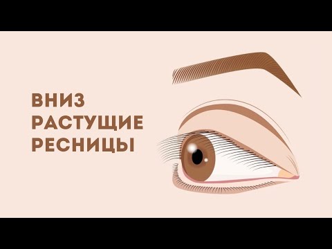 Видео: ВНИЗ РАСТУЩИЕ РЕСНИЦЫ. Как с ними работать? Какой изгиб подходит? Как делать подтяжку?