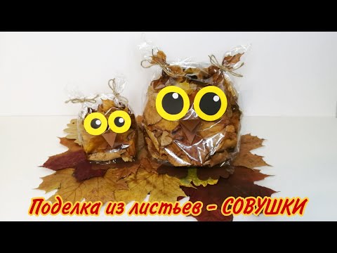 Видео: ПОДЕЛКИ на тему ОСЕНЬ - СОВУШКИ 🦉/ Поделки из листьев / AUTUMN CRAFTS / DIY