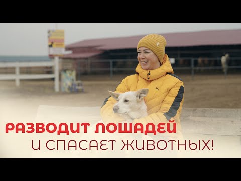 Видео: "Пищала: мама!" // Про "директора" Умку, ослицу из цирка и раненную косулю // Фермеры