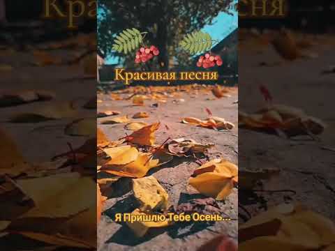 Видео: Красивая песня про осень ♥️@#