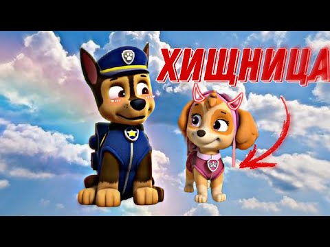 Видео: Гончик и Скай-Хищница (заказ @Cutie-f6j )