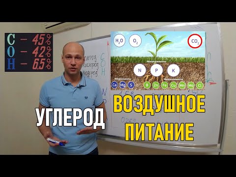 Видео: Стратегия воздушного питания растений углеродом