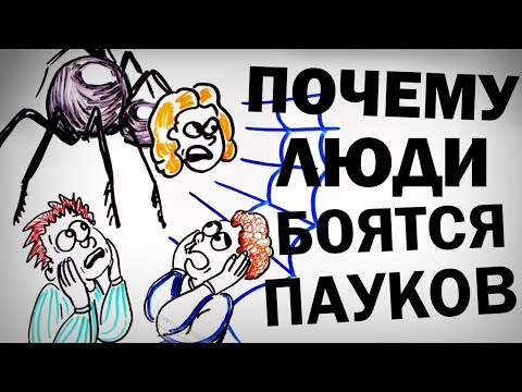 Видео: Почему люди так боятся ПАУКОВ? — Научпок