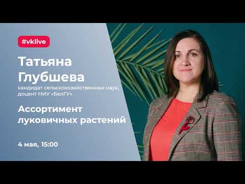 Видео: Ассортимент луковичных растений