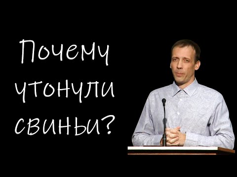 Видео: "Почему утонули свиньи?" Голубин М.