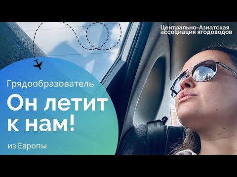 Видео: Итальянская Техника построит нам Грядки!
