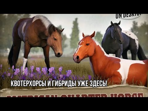 Видео: Квотерхорсы и гибриды | Rival Stars Horse Racing