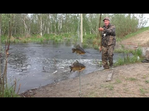 Видео: ЛАПТИ КАРАСИ НА СЕВЕРЕ ЭТО РЕДКОСТЬ!!! НО ВСЕ ЖЕ Я ИХ ПОЙМАЛ!!! НА УДОЧКУ ОНИ У НАС НЕ КЛЮЮТ!!!