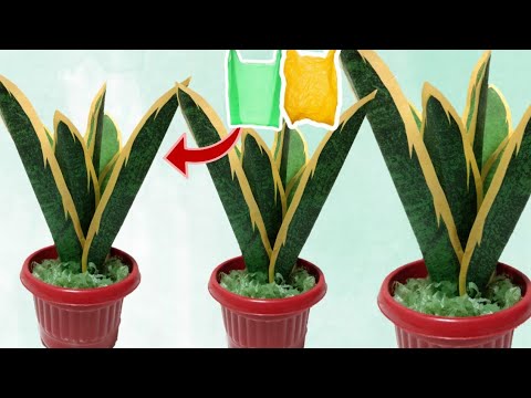 Видео: Как сделать растение Сансевиерия из полиэтиленового пакета | ремесленные идеи