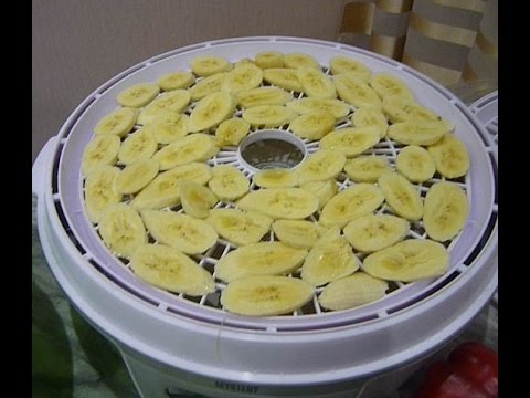 Видео: СУШИМ ОВОЩИ И ФРУКТЫ. Как Сушить овощи и фрукты в сушилке Mystery MDH-325, первое испытание