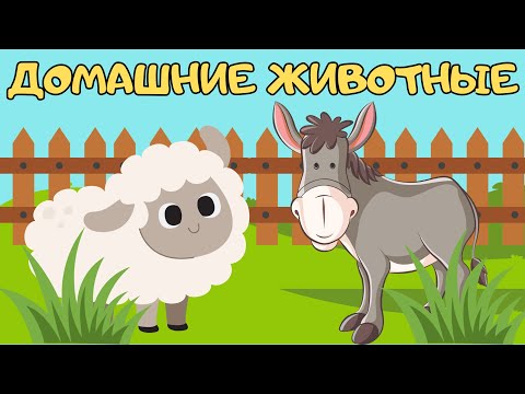 Видео: УЧИМ ДОМАШНИХ ЖИВОТНЫХ Звукоподражания Как говорят животные Развивающее видео для детей