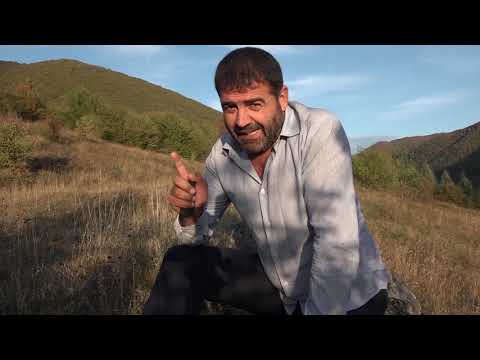 Видео: Балцы Чъимасы хъаеумае.