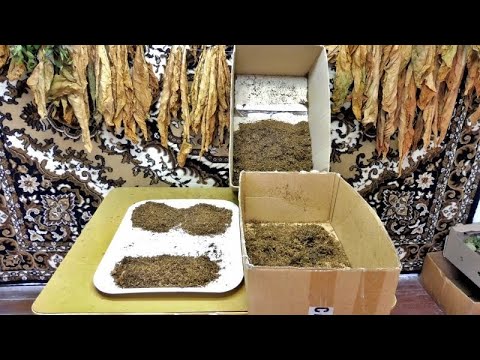 Видео: Мешка табака Вирджиния + Берли.
