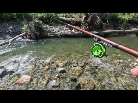 Видео: Рыбалка на Горной Реке.\\ Наловил на Уху.