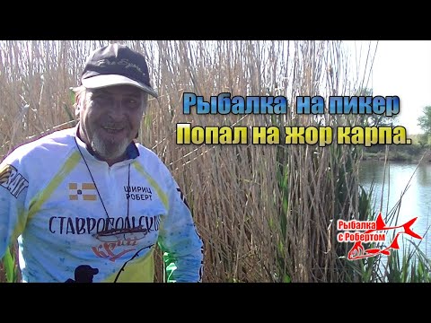 Видео: Попал на жор карпа. Рыбалка на пикер Volzhanka Pro Sport Dumchev 10ft 30+.