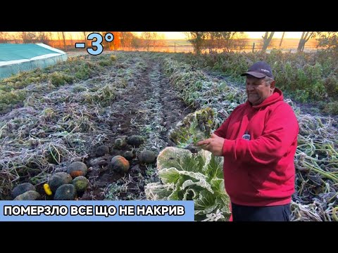 Видео: Перший мороз ,померзла городина. -3°, пишіть яка у Вас погода сьогодні.