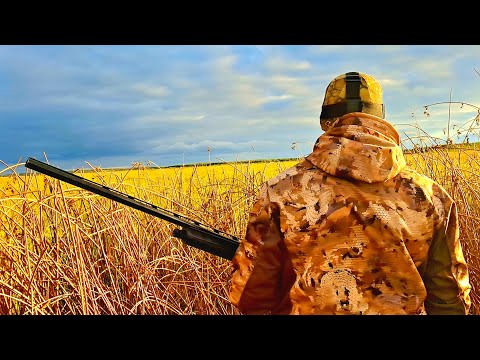 Видео: ОДИН НА РИСОВОМ ОЗЕРЕ! ОСЕННЯЯ ОХОТА НА УТКУ С ЧУЧЕЛАМИ .