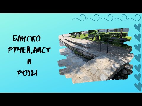 Видео: Банско Дворы Кусты Газоны и Розы