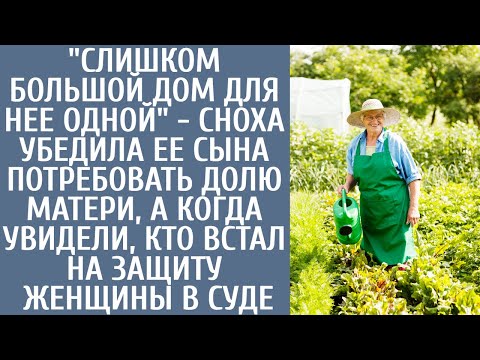 Видео: "Слишком большой дом для нее одной" - сноха убедила ее сына потребовать долю матери, а придя в суд