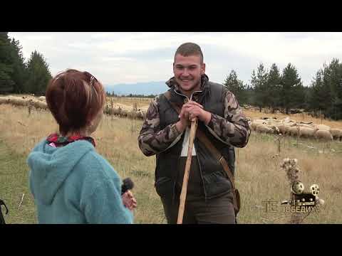 Видео: Те победиха: Овцевъдите Вършилови - щафетата продължава към младите