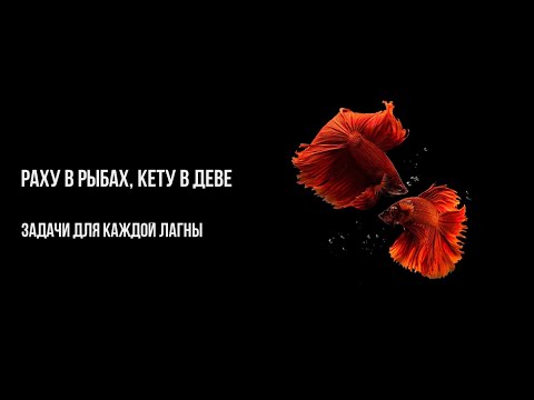 Видео: Переход Раху в знак Рыб - обсуждение тенденций для каждой лагны.