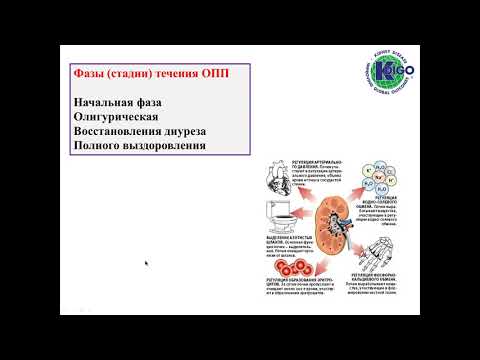 Видео: ОСТРОЕ ПОВРЕЖДЕНИЕ ПОЧЕК (ОПП) и ХРОНИЧЕСКАЯ БОЛЕЗНЬ ПОЧЕК (ХБП)