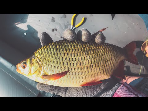 Видео: Толстые краснопёрки на ультралайт. Мормышинг. В поисках 1 кг краснопёрки.