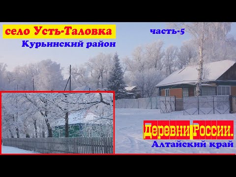 Видео: Усть -Таловка. Курьинский район. Зимний пейзаж.