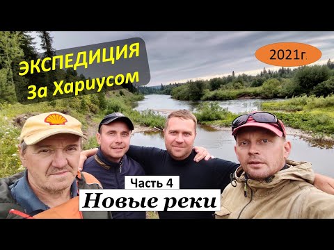 Видео: Экспедиция. Хариус. Пермский край. Часть 4.