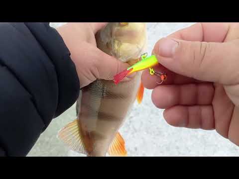 Видео: Открытие зимнего сезона 2025. Рыбалка в Якутии на р. Ирелях