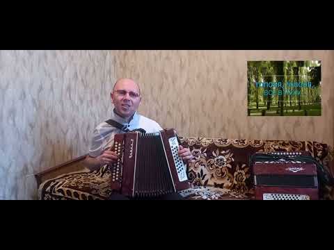 Видео: "Тополя,тополя,все в пуху".(Дворовая песня).Кавер-версия.Гармонь.