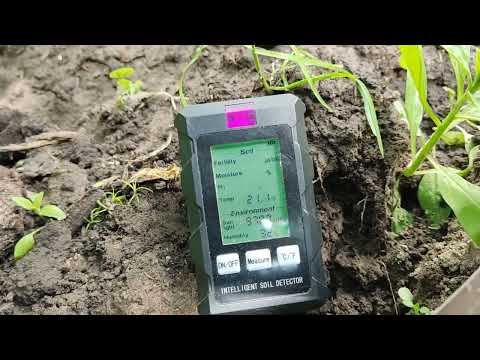 Видео: Обзор NPK Soil Tester и  ST03 6 in 1 Soil Detecto, Измеряю почву под томатами и  подкармливаю.