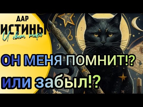 Видео: ✅🔯⁉️🔯✅ ОН МЕНЯ ПОМНИТ или ЗАБЫЛ⁉️⁉️⁉️🔯✅