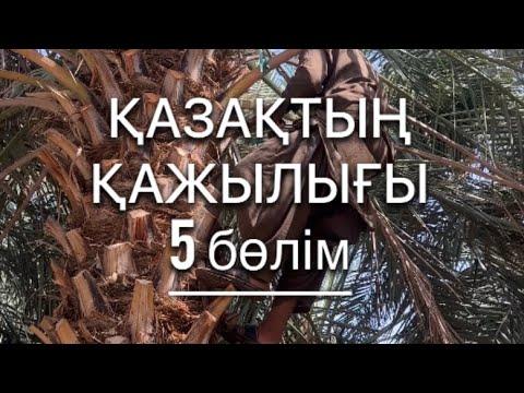 Видео: QAZAQтың қажылығы 5-ші бөлім