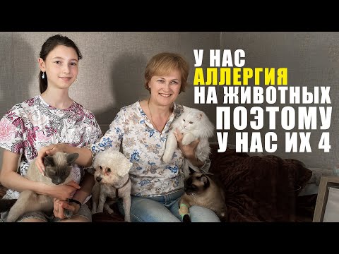 Видео: Аллергия на животных. Как жить с кошками и собаками?