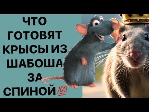 Видео: ЧТО ГОТОВЯТ КРЫСЫ ИЗ ШАБОША ЗА СПИНОЙ❗️❗️❗️🔥
