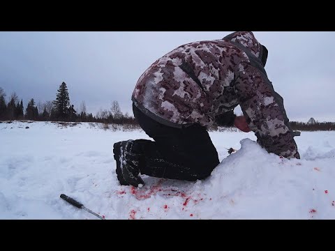 Видео: Оставил ЖЕРЛИЦЫ на НОЧЬ. А УТРОМ был в ШОКЕ!