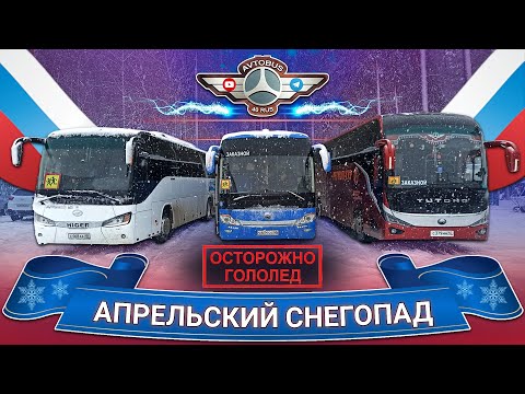 Видео: Снегопад в апреле🙈 Но мы справимся💪