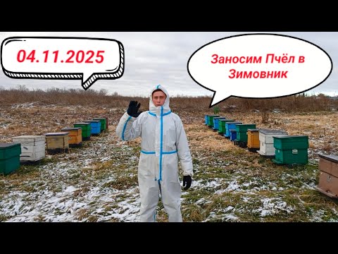Видео: Заносим Пчел зимовник тюменская область