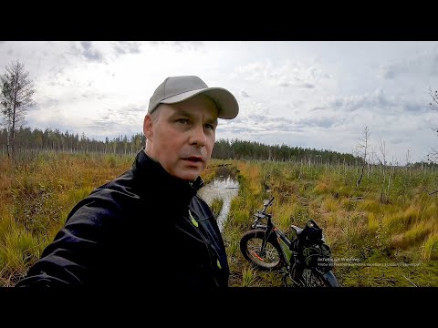 Видео: Путешествие на фэтбайке / БОЛОТА / МЕЩЕРА / Озеро Светец / Часть 2