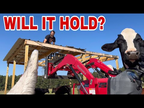 Видео: УБЕЖИЩЕ ПОЧИНЕНО, но надвигается НОВАЯ ШТОРМ!