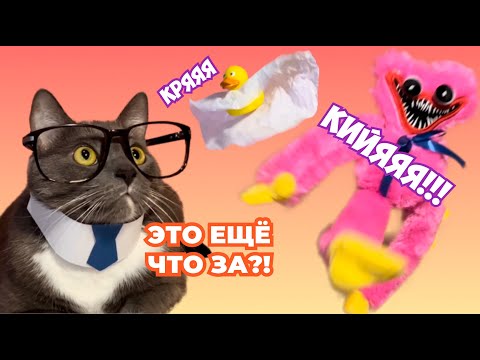 Видео: ЕСЛИ БЫ КОТИКИ ХОДИЛИ В ШКОЛУ - СТРАШНЫЕ ИСТОРИИ, КИССИ МИССИ