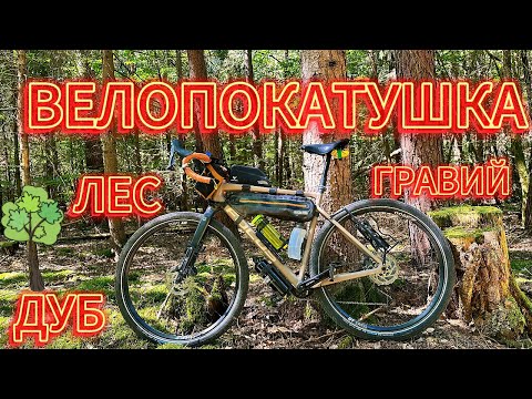 Видео: Гравийная велопокатушка, вот для чего нужен Гравийник ! Граница земель. Памятник Прекрасный Дуб.