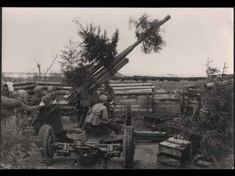 Видео: Алексей Исаев. Лужский оборонительный рубеж